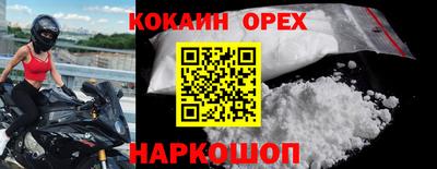альфа пвп Новодвинск