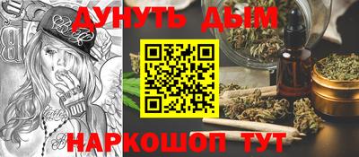 альфа пвп Новодвинск