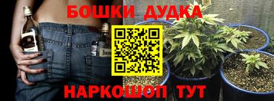 альфа пвп Новодвинск