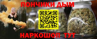 альфа пвп Новодвинск