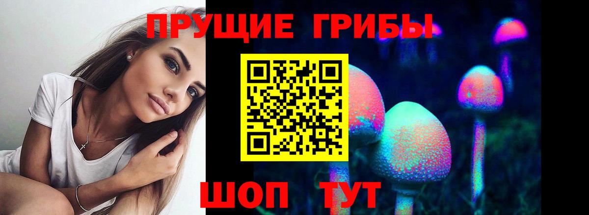 Псилоцибиновые грибы Psilocybine cubensis Сочи
